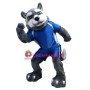 Power Husky Dog Mascot Costume