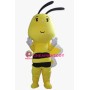 Big Head Bee Mascot Costume
