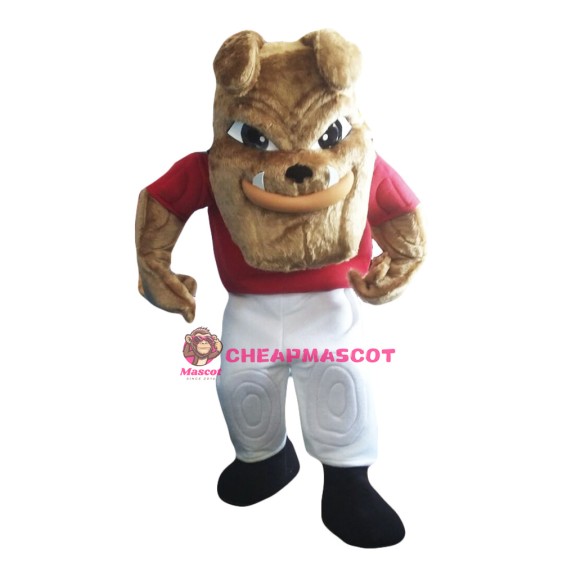 Bulldog Mascot Costume Adult Costume