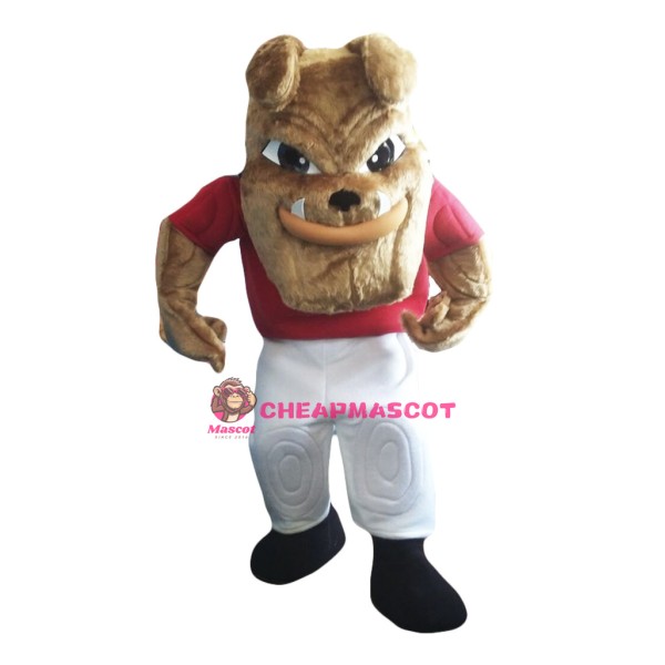 Bulldog Mascot Costume Adult Costume