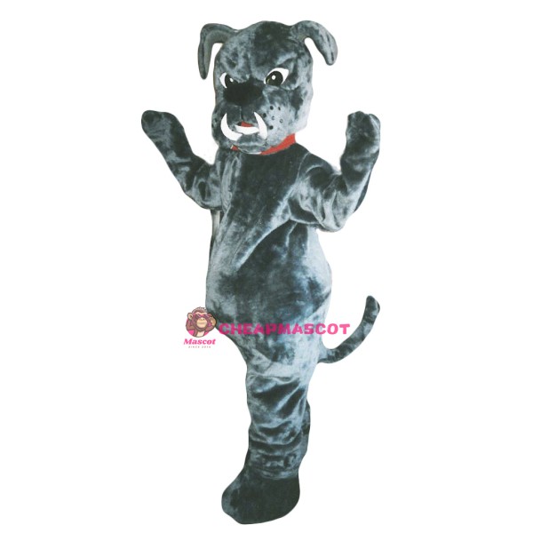 Bull Dog Mascot Costume Adult Costume