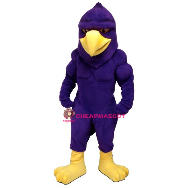 Power Hawk Mascot Costume
