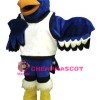 Seahawk Mascot Costume