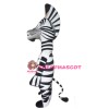 Cartoon Zebra Mascot Costumes