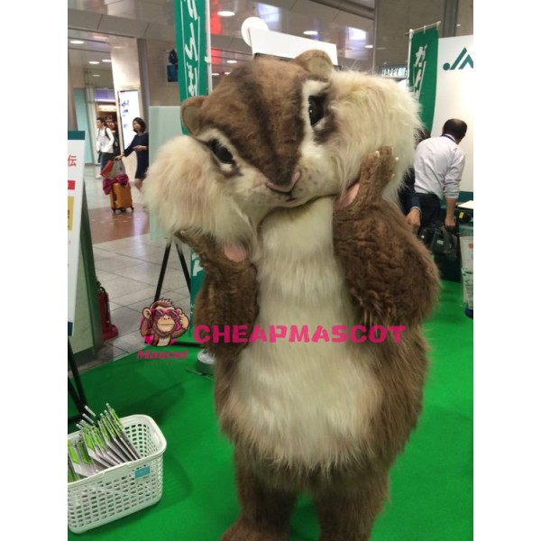 Best Quality Squirrel Mascot Costume