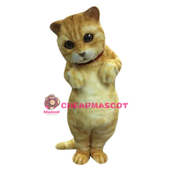 Cute Animal Cat Mascot Costume