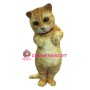 Cute Animal Cat Mascot Costume