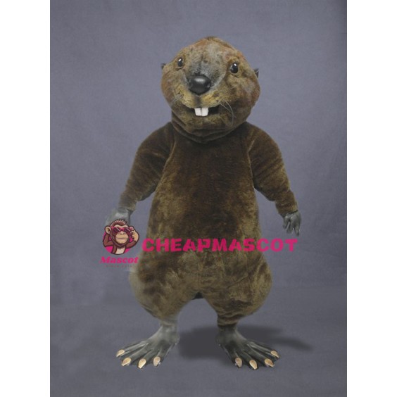 High Quality Otter Mascot Costume