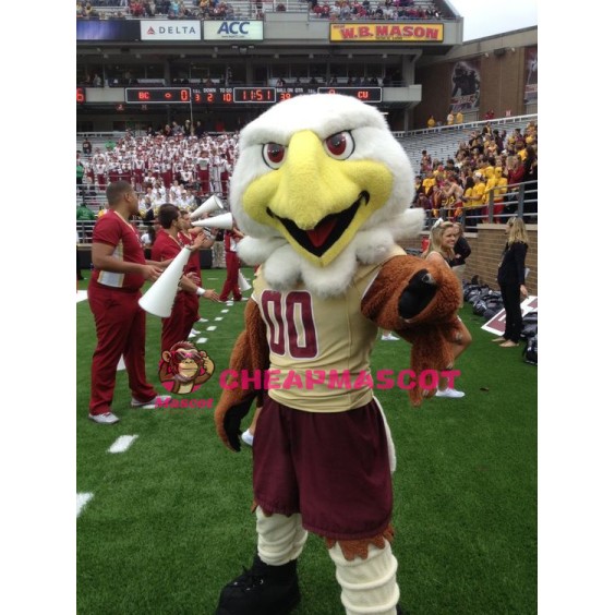 College Eagles Mascot Costume