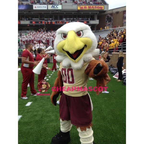 College Eagles Mascot Costume