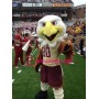 College Eagles Mascot Costume