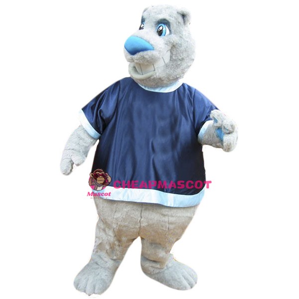 Friendly Bear Mascot Costume