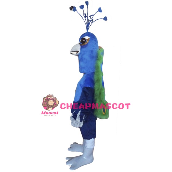 Peacock Mascot Costume