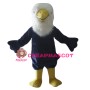 Black Eagle Mascot Costume