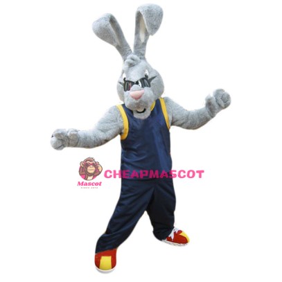 Power Rabbit Mascot Costume