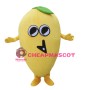 Fruit Mango Mascot Costume