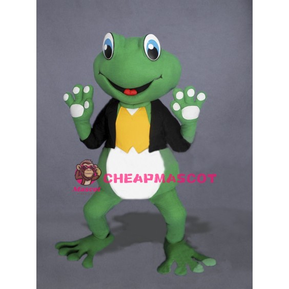 Cute Frog Mascot Costume