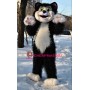 Cute Cat Mascot Costume