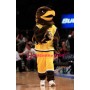 Basketball Eagle Mascot Costume