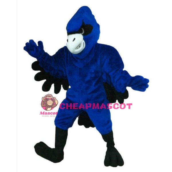 Fierce Blue Jay Mascot Costumes