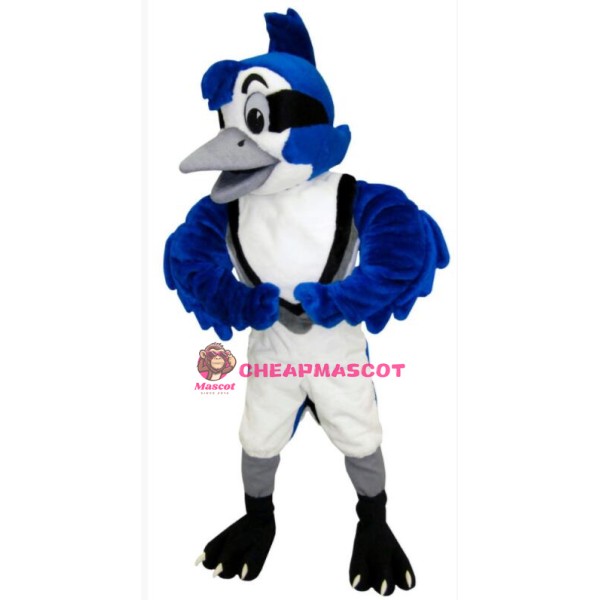 Cute Blue Jay Mascot Costume