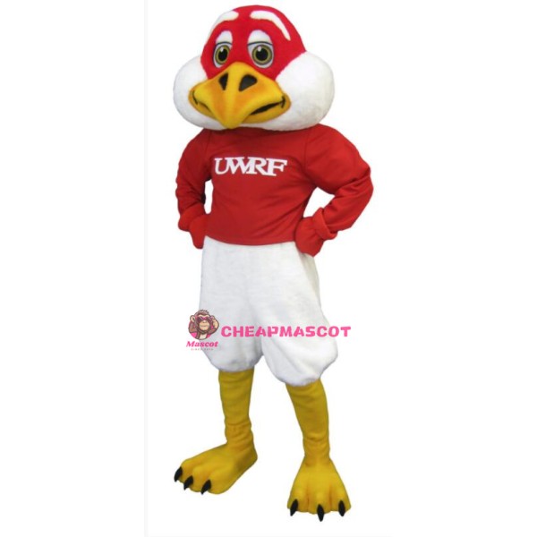 Freddie Falcon Mascot Costume