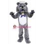 Bulldog Mascot Costume