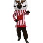 Bucky Badger Mascot Costume