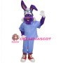 Dr Rabbit Mascot Costume