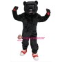 High School Black Bear Mascot Costume