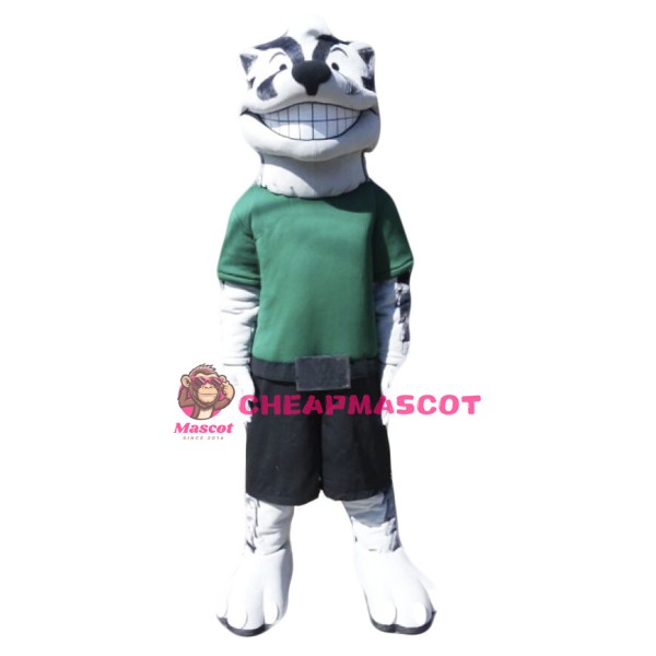 Badger Mascot Costume