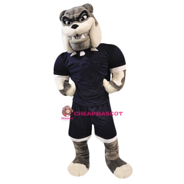 High School Bull Dog Mascot Costume