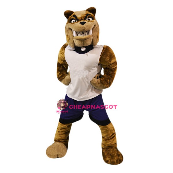 Sport Bull Dog Mascot Costume