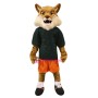 Coyote Mascot Costume