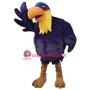 Toucan Mascot Costume