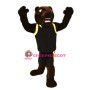 Fierce Brown Bear Mascot Costume