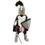 University Knight Mascot Costume