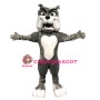Professional Quality Bulldog Mascot Costume