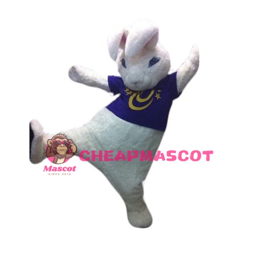 White Rabbit Mascot Costume