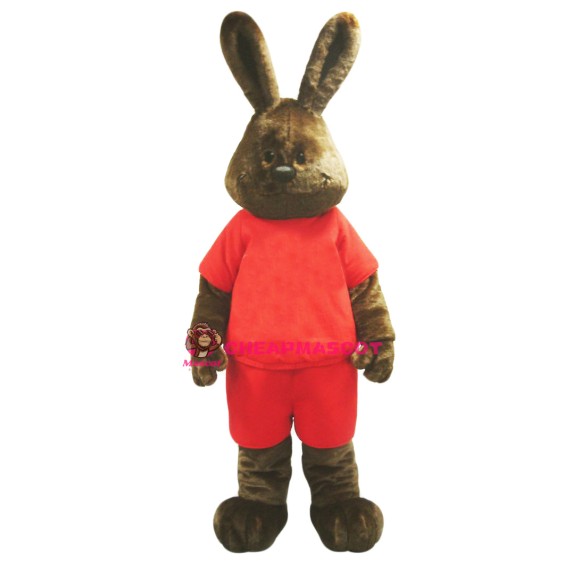 Happy Brown Rabbit Mascot Costume