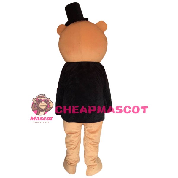 Cartoon Bear mascot costumes