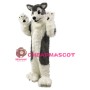 Gray Wolf Husky Dog Mascot Costumes