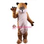 Cute Realistic Animal Meerkat Mascot Costume