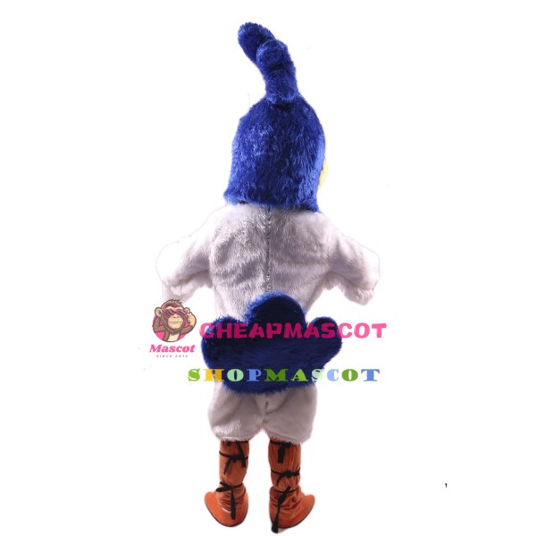 Roadrunner Mascot Costume