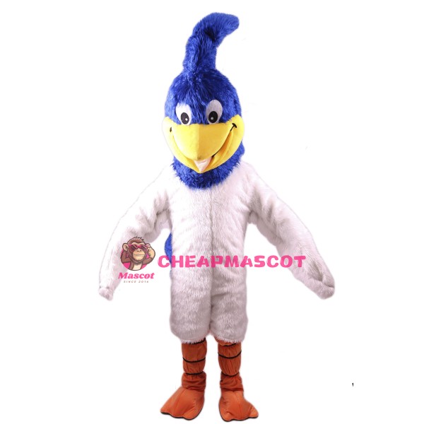 Roadrunner Mascot Costume
