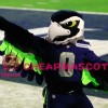 Seahawks Lightweight Mascot Costume