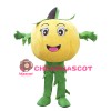 Halloween Pumpkin Mascot Costume Vegetable Costume for Adult