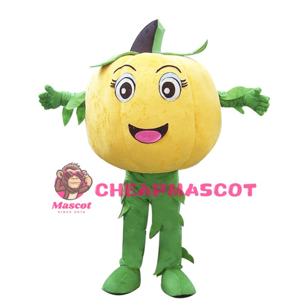 Halloween Pumpkin Mascot Costume Vegetable Costume for Adult