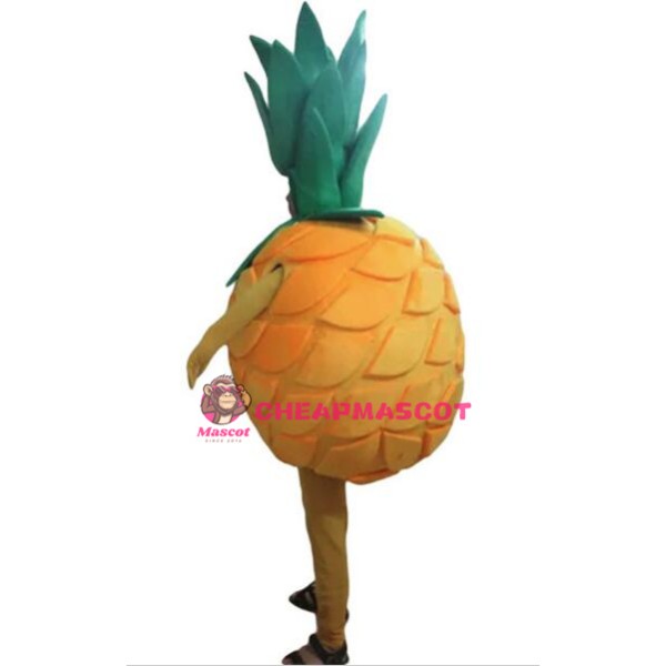 Fruit Pineapple Mascot Costume