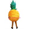 Fruit Pineapple Mascot Costume